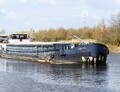 Godetia op het Maximakanaal bij Den-Bosch.