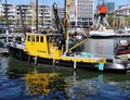Sperwer Leuvehaven Rotterdam.