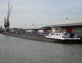Voluntas Maashaven Rotterdam.