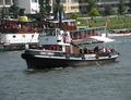 Anders J. Goedkoop tijdens Sail 2015 Amsterdam.