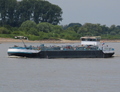 Coccinelle opvarend op de Rijn bij Spijk.
