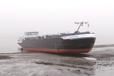 Coccinella gestrand in dichte mist bij Terneuzen.