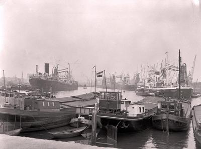 De Jelma Maashaven Rotterdam.