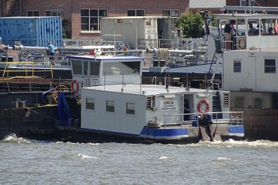 De Orca Dordrecht.