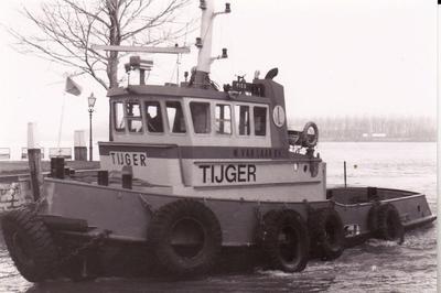 Tijger Dordrecht.