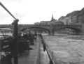Dubisia aan de Mittelere Rheinbrücke in Basel.