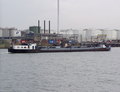 Zeemeeuw Derde Petroleumhaven Botlek.