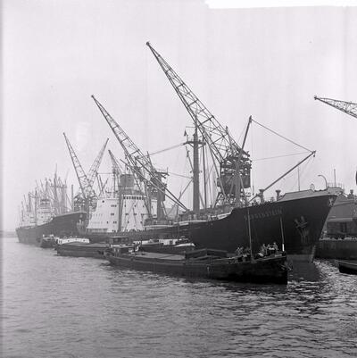 Beatrix & Mascagne Waalhaven Rotterdam.