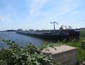Monford Afrikahaven Amsterdam