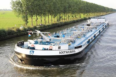 Antwerpia Nigtevecht.