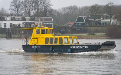 Kriebbenhopper op de IJssel bij Zwolle.