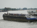 Rain Empress bij Xanten.

