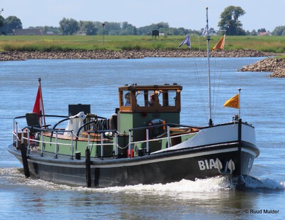 Bia op de IJssel bij Bronckhorst.