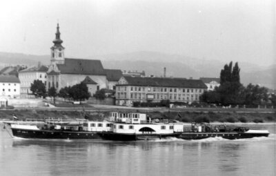 Ried op de Donau.