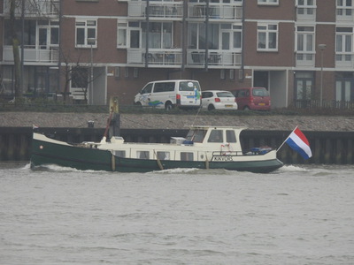 Kikvorst op de Nieuwe Maas in Rotterdam.