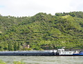 Maderas bij de Loreley.