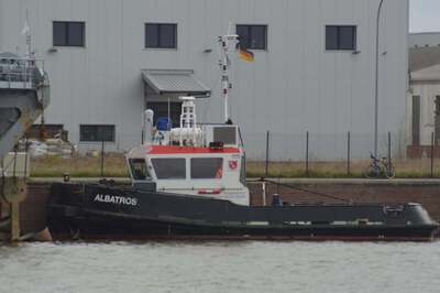Albatros in Bremerhaven.
