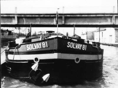 Solvay 81.