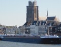 Iris in Dordrecht.
