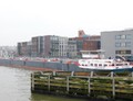 Moorea in Dordrecht.