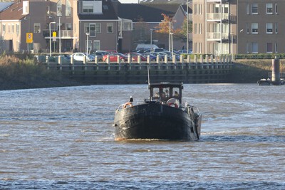 Zwaluw op de Hollandse IJssel bij Moordrecht.