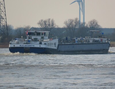 Blue Antoinette te daal op de Rijn bij Emmerik.